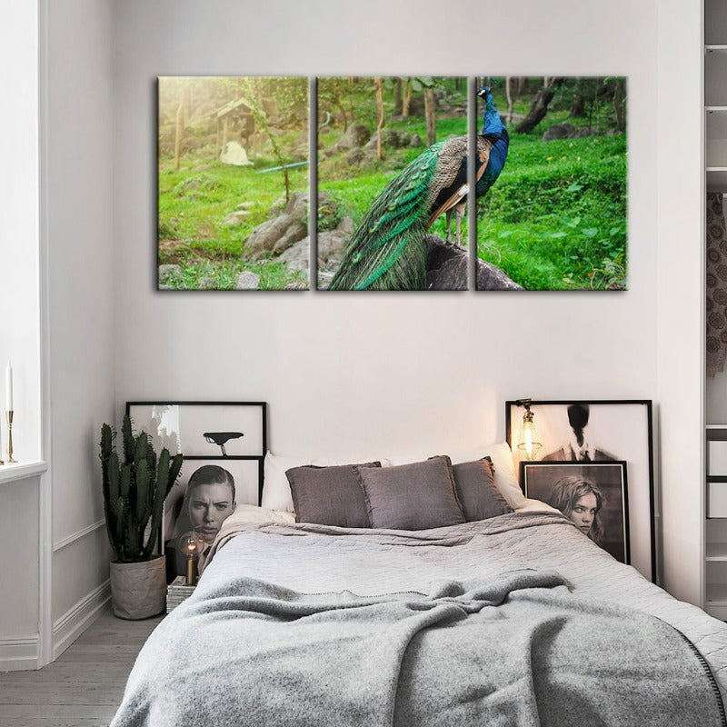 Würdevolles Sonnendurchflutetes Pfau-Leinwand Wandkunst Gemälde 3 Stück