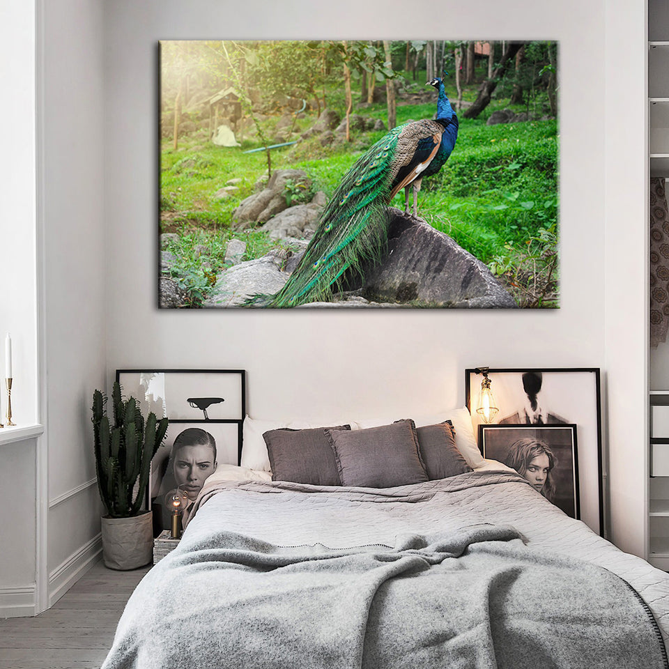 Würdevolle Sonnenlicht-Pfau - Leinwand Wandkunst Gemälde