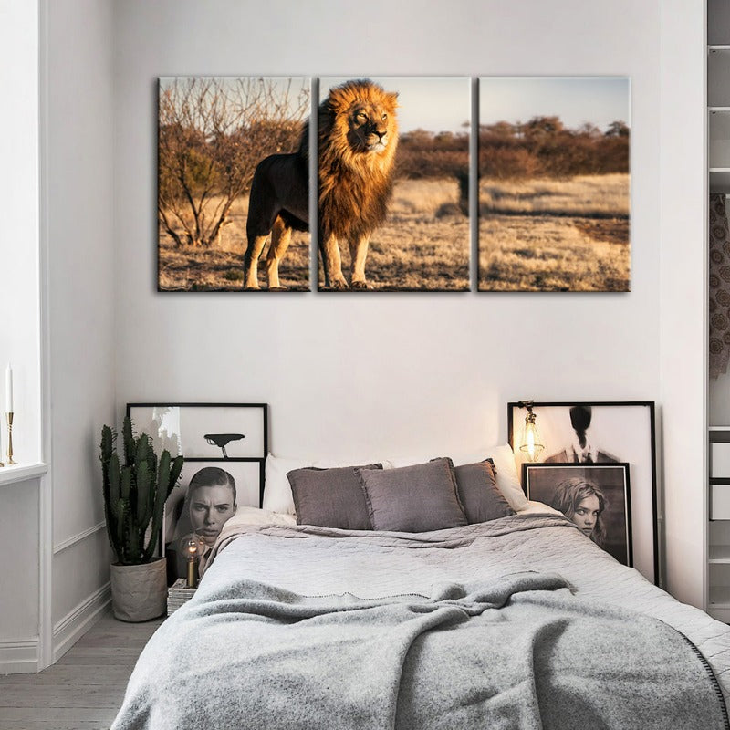Majestischer Löwe in Sonnenlicht gehüllt - Leinwand Wandkunst Gemälde 3 Teile