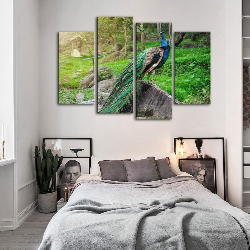 4 Stück Würdevoller Sonnenlicht-Pfau - Leinwand Wandkunst Gemälde