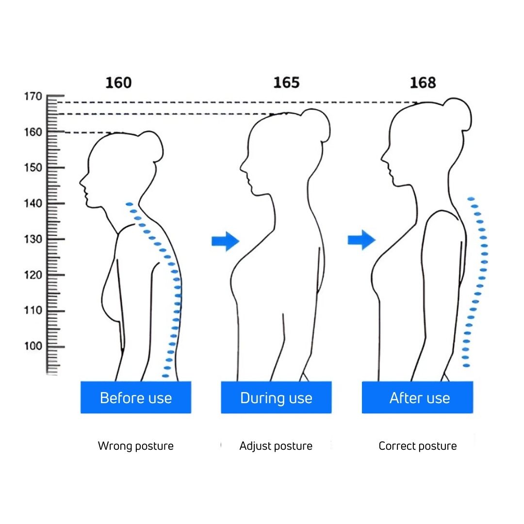 HealthPost 3-in-1 Rückenstütze | Verstellbare Rückenstütze für Büro, Sport & Alltag | Oberer & unterer Rücken