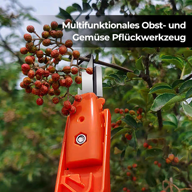 Effiziente Pfeffersammel Werkzeuge | Brehn
