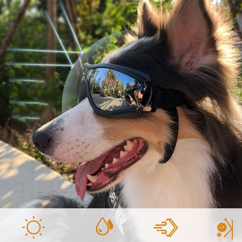 Outdoor-Schutzbrille für Hunde