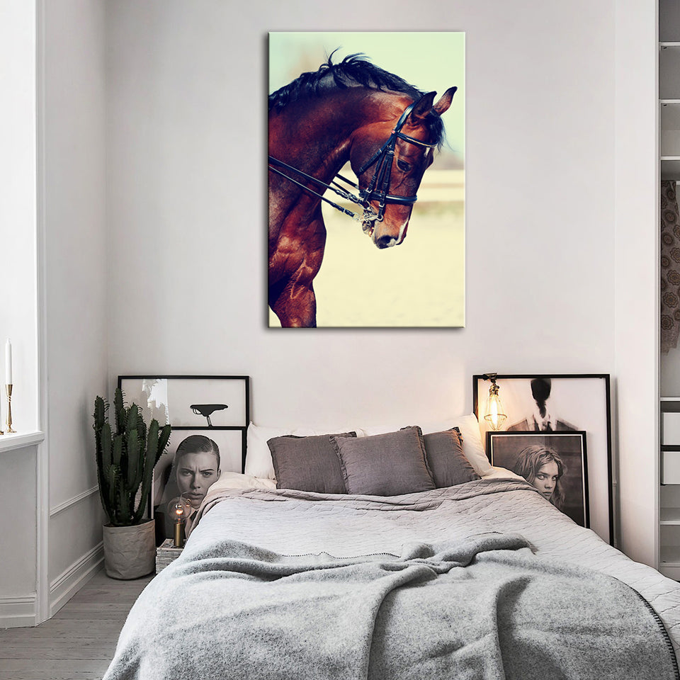 Anmutiges Halfterpferd - Leinwand Wandkunst Gemälde