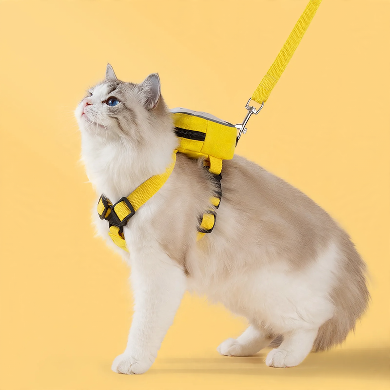 Brustgeschirr mit transparentem Rucksack für Katzen