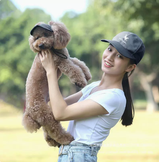 SunSafe Paws – UV-Schutz Hut für Hunde Brehn
