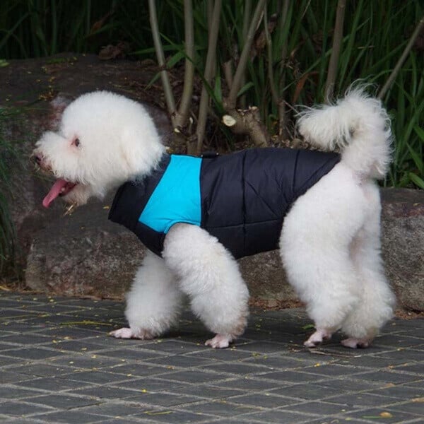 XXL Dog Vest Outdoor S-7XL | Warmer, Waterproof Dog Coat with Integrated Leash Attachment