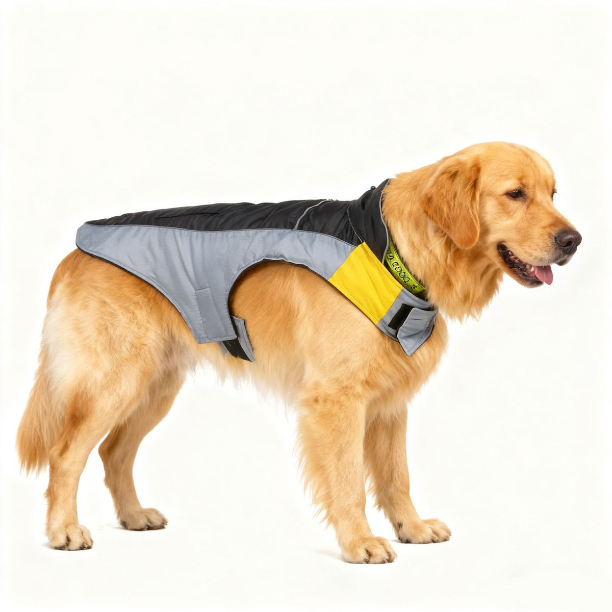 Baumwoll-Winterjacke für Hunde, alle Größen
