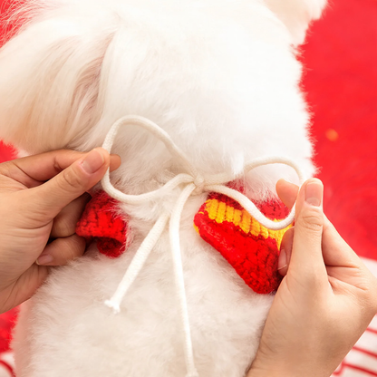 Festliches Halsband für Hunde und Katzen, Polyester