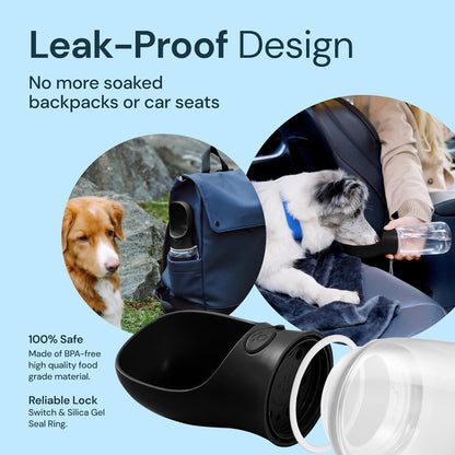 Tragbare 2-in-1 Wasser- und Futtertasse für Haustiere