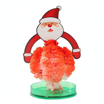 Magischer Papier-Weihnachtsbaum zum Selberzüchten