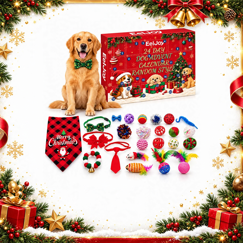 Adventskalender für Hunde
