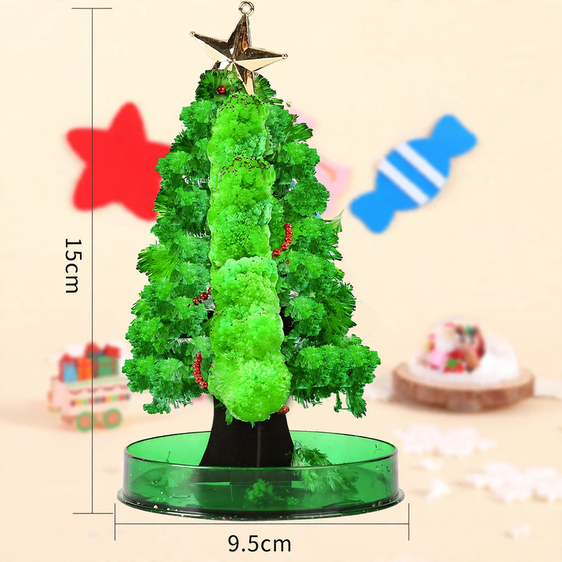 Magischer Papier-Weihnachtsbaum zum Selberzüchten