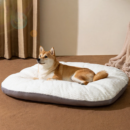 Hundebett, waschbar, S–XL, wärmend