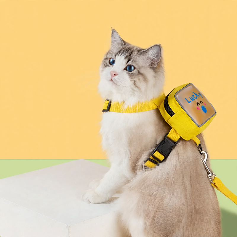 Brustgeschirr mit transparentem Rucksack für Katzen