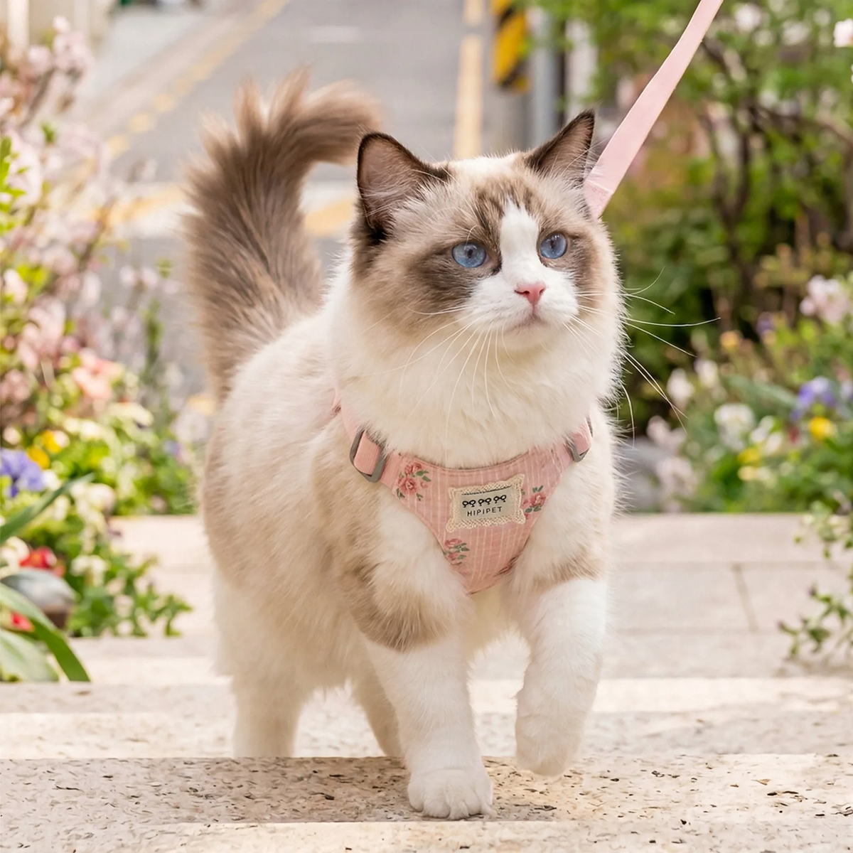 Katzen-Brustgeschirr, Oxford-Gewebe