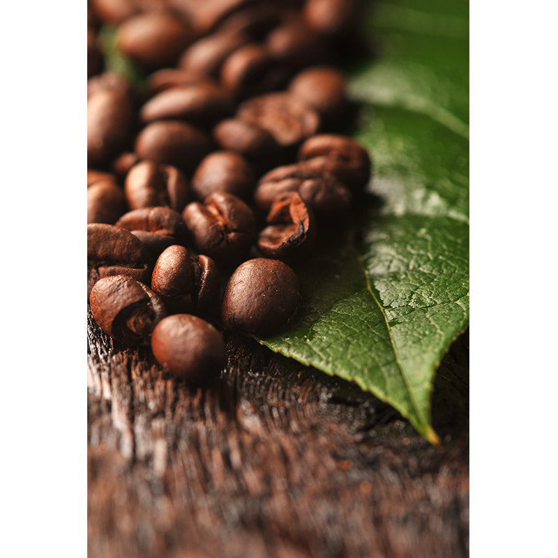 Brehn | Pastel Farbe Kaffeebohnen Wanddekoration für die Dekoration Moderner Wohnzimmer Wanddekoration