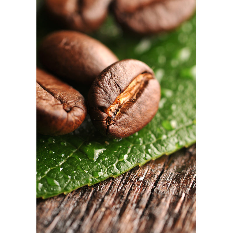 Brehn | Pastel Farbe Kaffeebohnen Wanddekoration für die Dekoration Moderner Wohnzimmer Wanddekoration