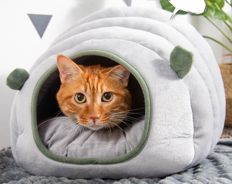 Brehn | 2-in-1 faltbare & waschbare samtige selbstwärmende Höhle/Nest mit Schlafbett für Katzen und kleine Hunde, geeignet für drinnen oder draußen (Grün)