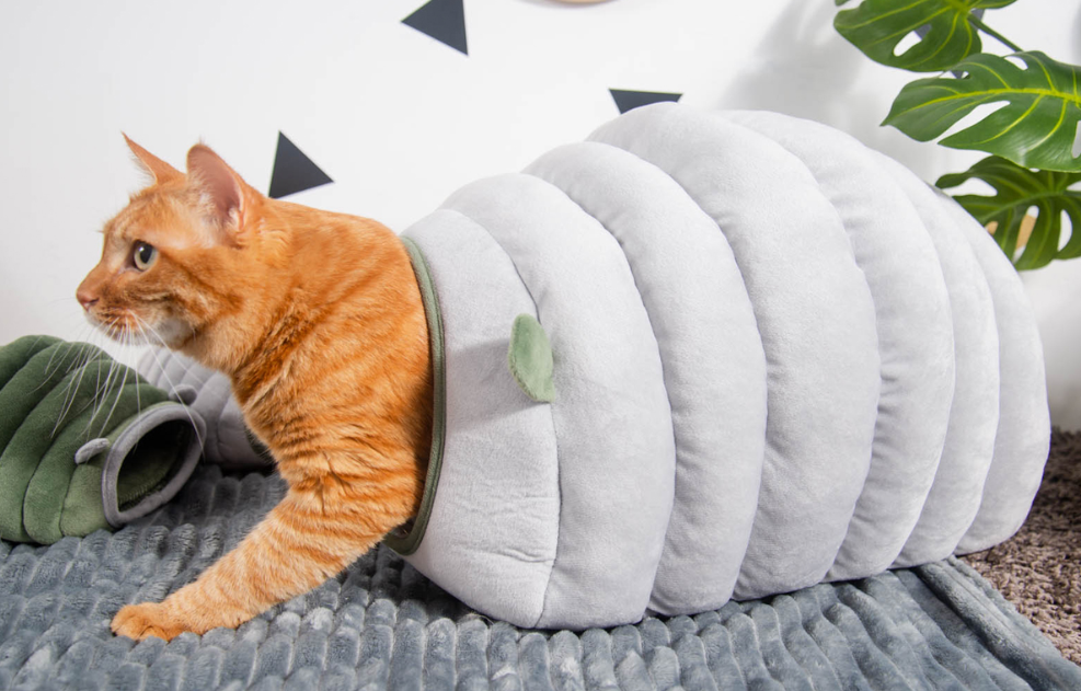 Brehn | 2-in-1 faltbare & waschbare samtige selbstwärmende Höhle/Nest mit Schlafbett für Katzen und kleine Hunde, geeignet für drinnen oder draußen (Grün)
