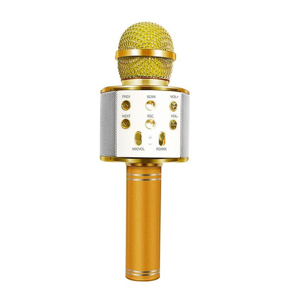 Brehn | Wiederaufladbares kabelloses Bluetooth Karaoke-Mikrofon