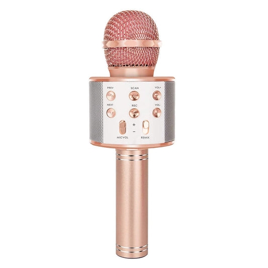 Brehn | Wiederaufladbares kabelloses Bluetooth Karaoke-Mikrofon