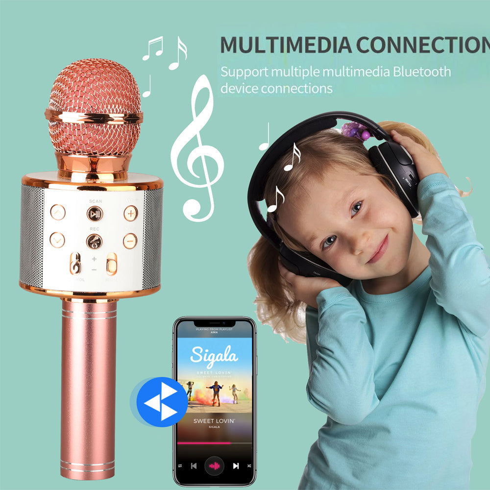 Brehn | Wiederaufladbares kabelloses Bluetooth Karaoke-Mikrofon