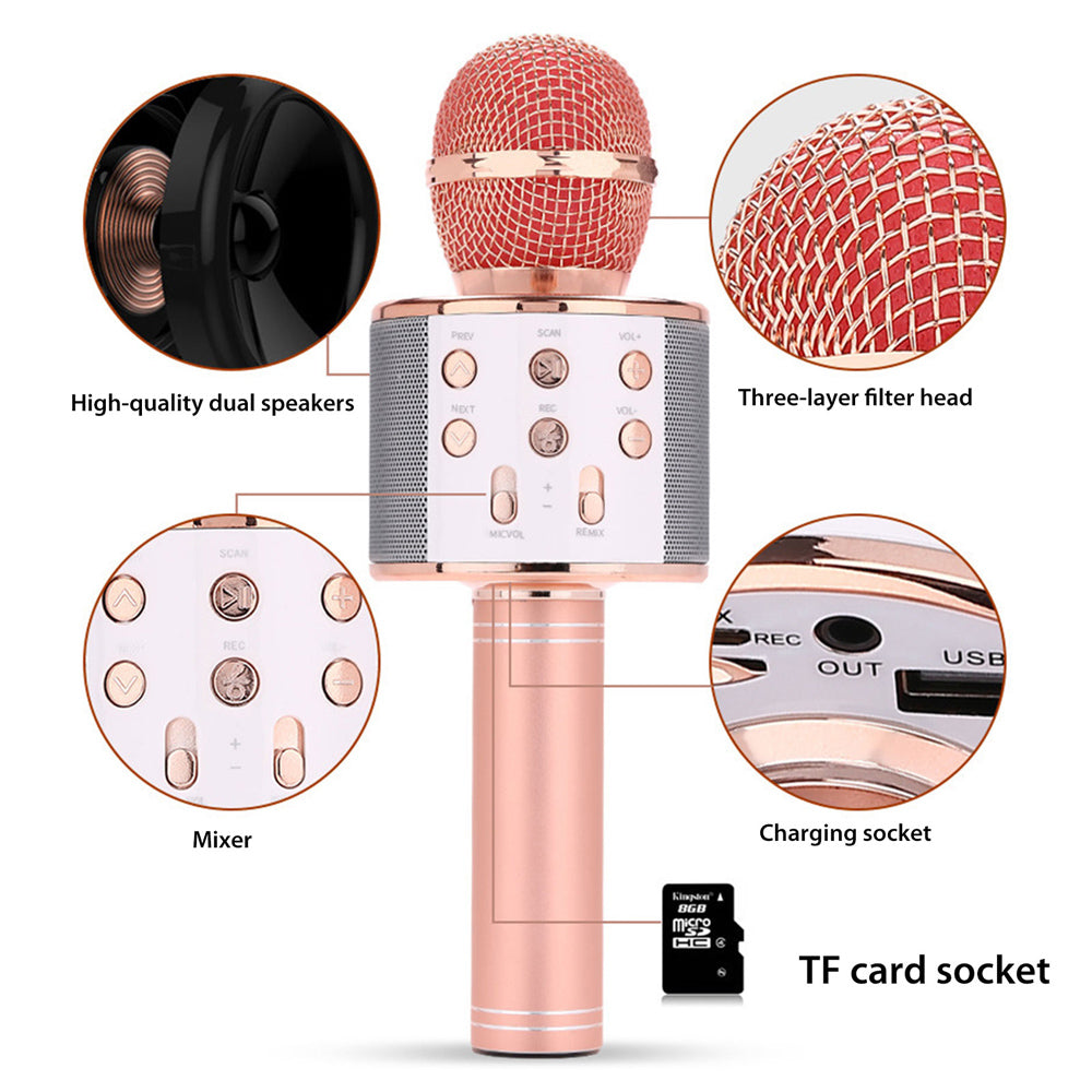 Brehn | Wiederaufladbares kabelloses Bluetooth Karaoke-Mikrofon