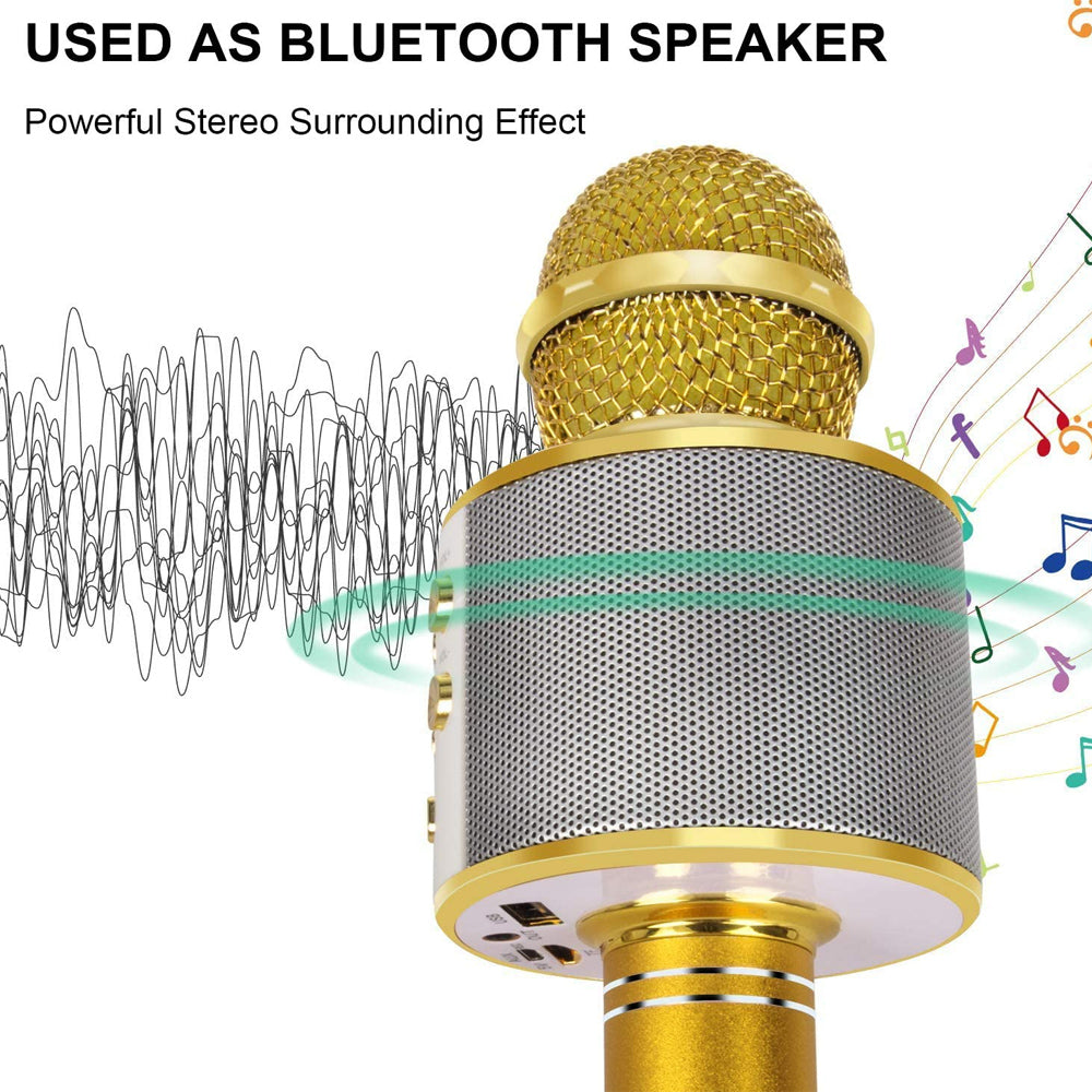 Brehn | Wiederaufladbares kabelloses Bluetooth Karaoke-Mikrofon
