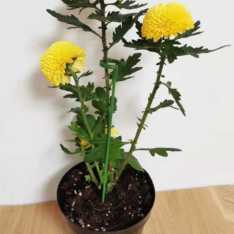 Brehn | BloomBuddy Wachsende Pflanzenwachstum