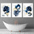 Abstraktes maritimes und goldenes botanisches Set aus 3 gerahmten Wandbildern