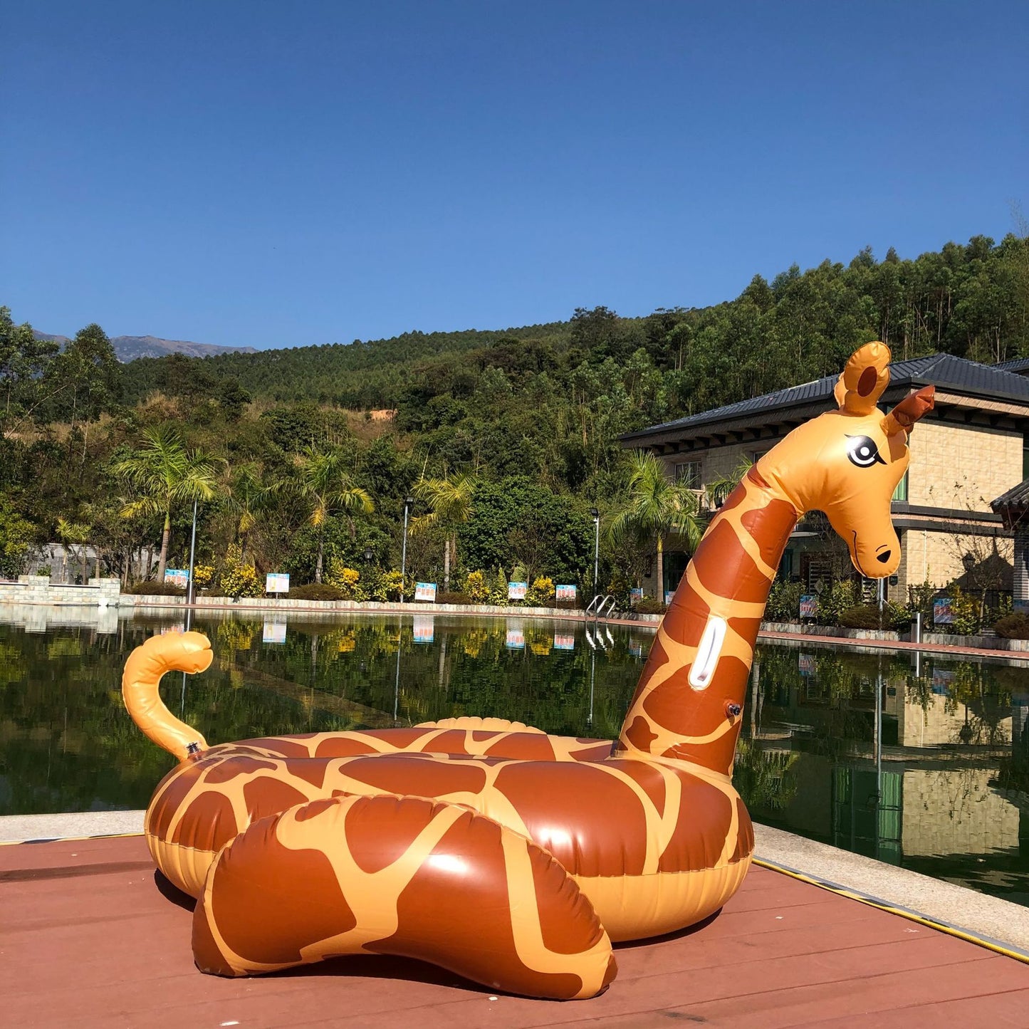 Unisex Aufblasbarer Giraffen-Schwimmtier Brehn