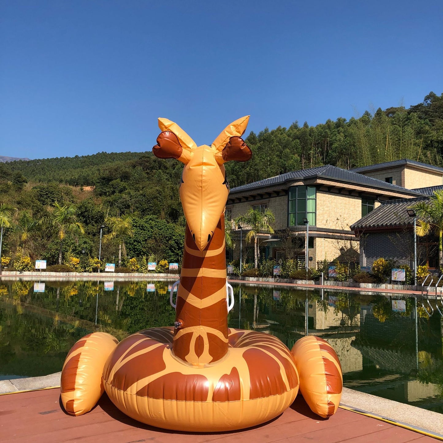 Unisex Aufblasbarer Giraffen-Schwimmtier Brehn