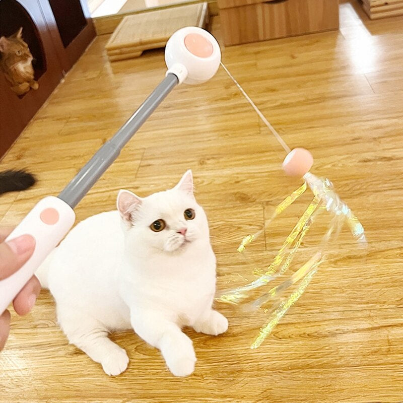 Brehn | Interaktives Katzenspielzeug mit Teaser-Stick