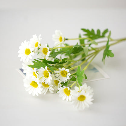 Lebensnahe Daisy Blumenspross