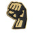 Statet Fist Symbol Brosche Brehn