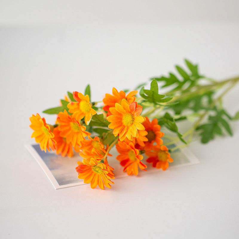 Lebensnahe Daisy Blumenspross