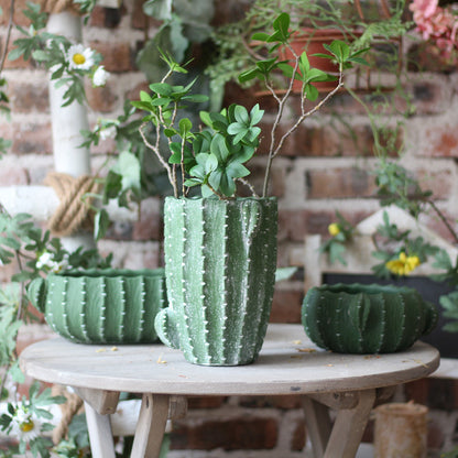 Dekorativer Blumentopf in Kaktus-Form Brehn
