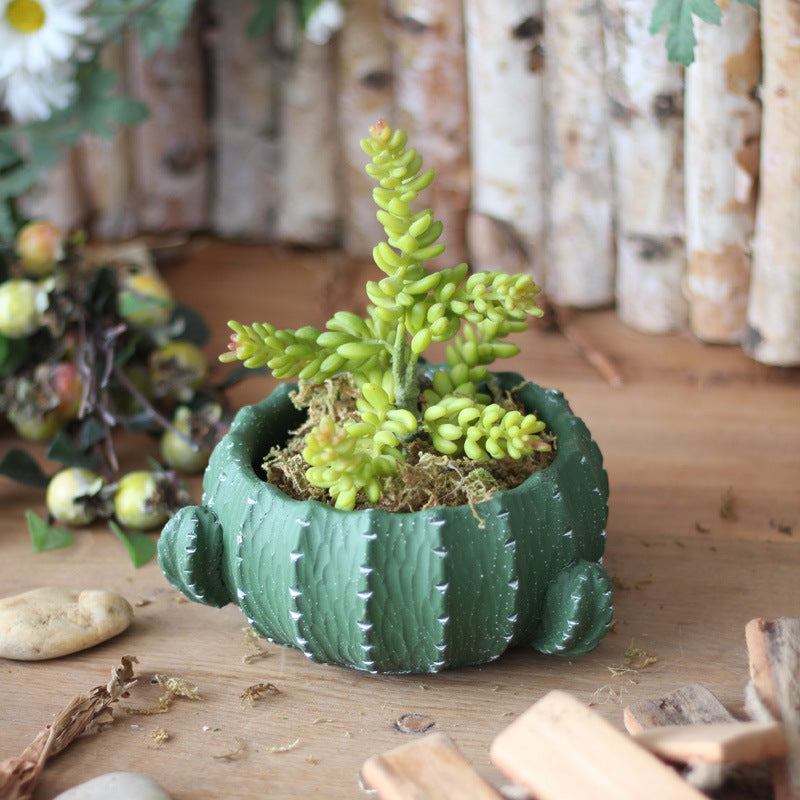 Dekorativer Blumentopf in Kaktus-Form Brehn
