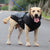 Brehn | Wasserdichte Winterhundejacken