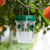 Solarbetriebene Wespenfalle mit LED-Anlockung | Brehn