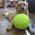 Giant Dog Tennisball Spielzeug | Brehn