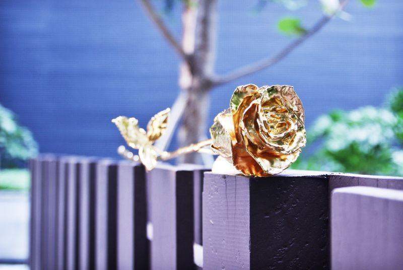 Brehn | 24K Gold Rosen