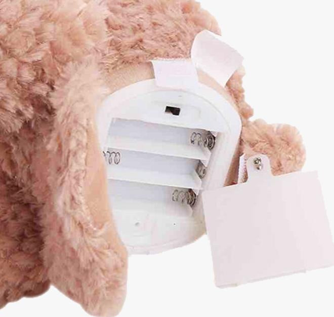 Peek-A-Boo Bear | Brehn