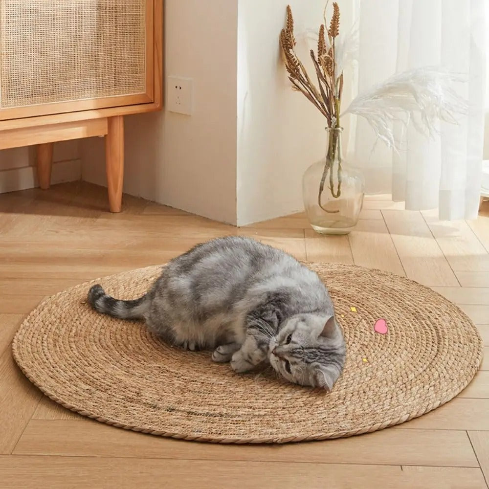 Kratzmatte für Katzen | Brehn