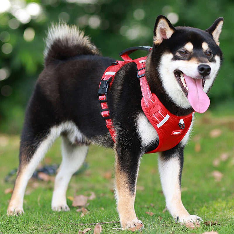 Reflektierender Hunde-Brustgurt | Brehn