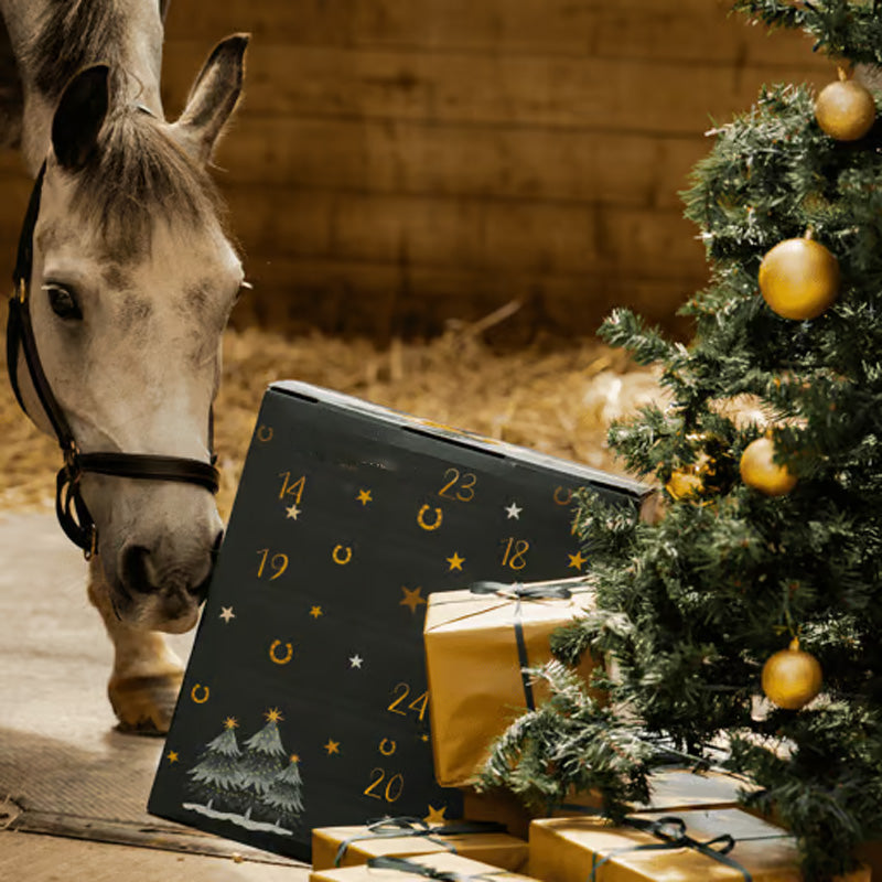 Brehn | Ponyleiste und Fransen Adventskalender 2024