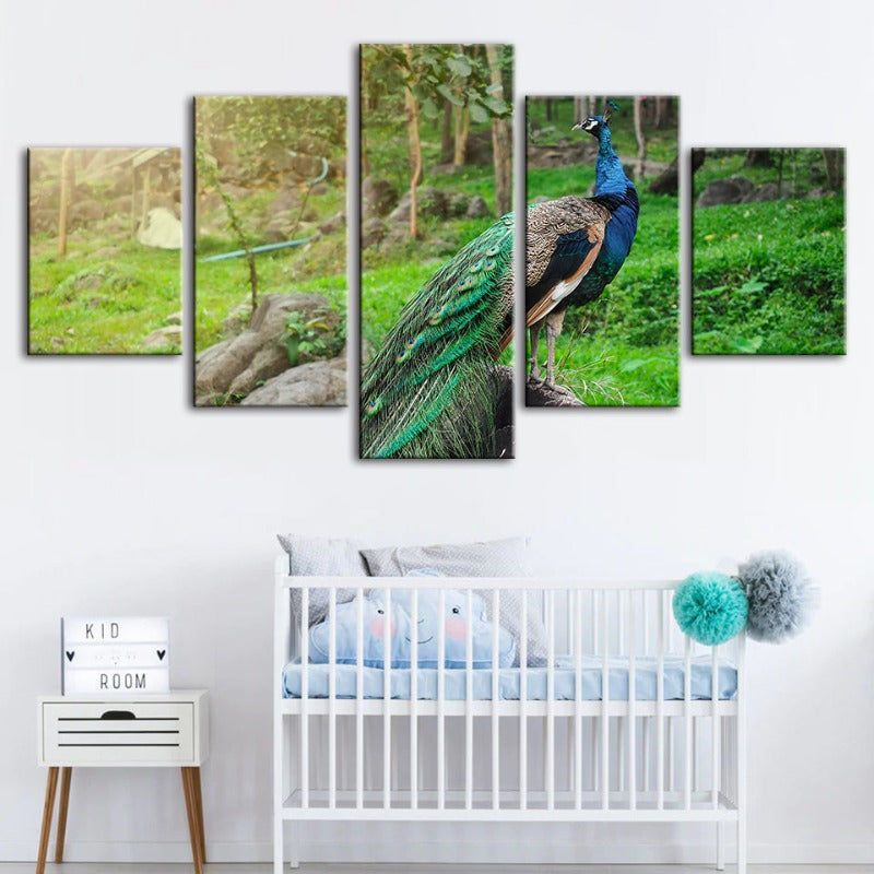 5-teiliges Würdevoller Sonnenbeschienener Pfau - Leinwand Wandkunst Gemälde
