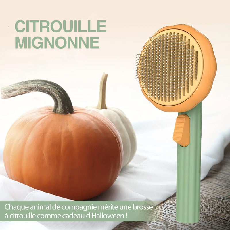 Pumpkin Comb Bürste für Haustiere | Brehn