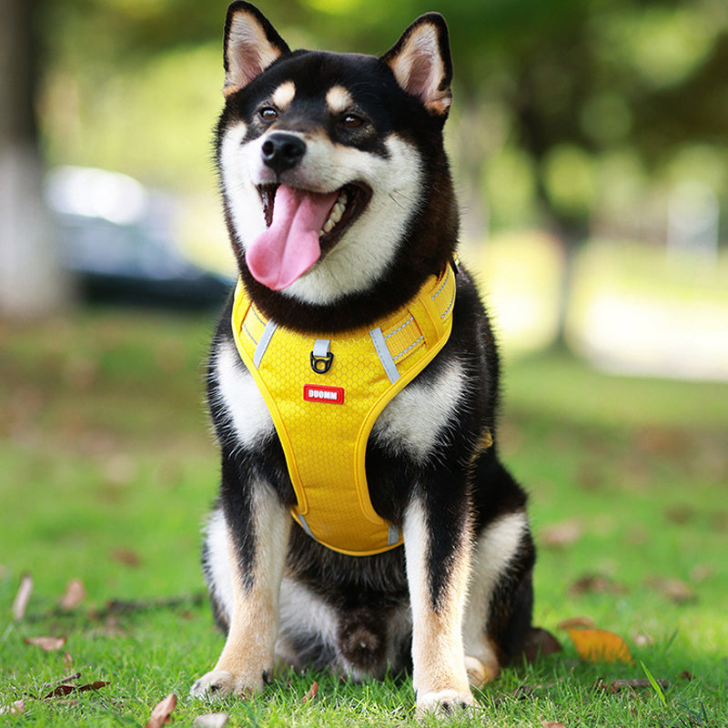 Reflektierender Hunde-Brustgurt | Brehn